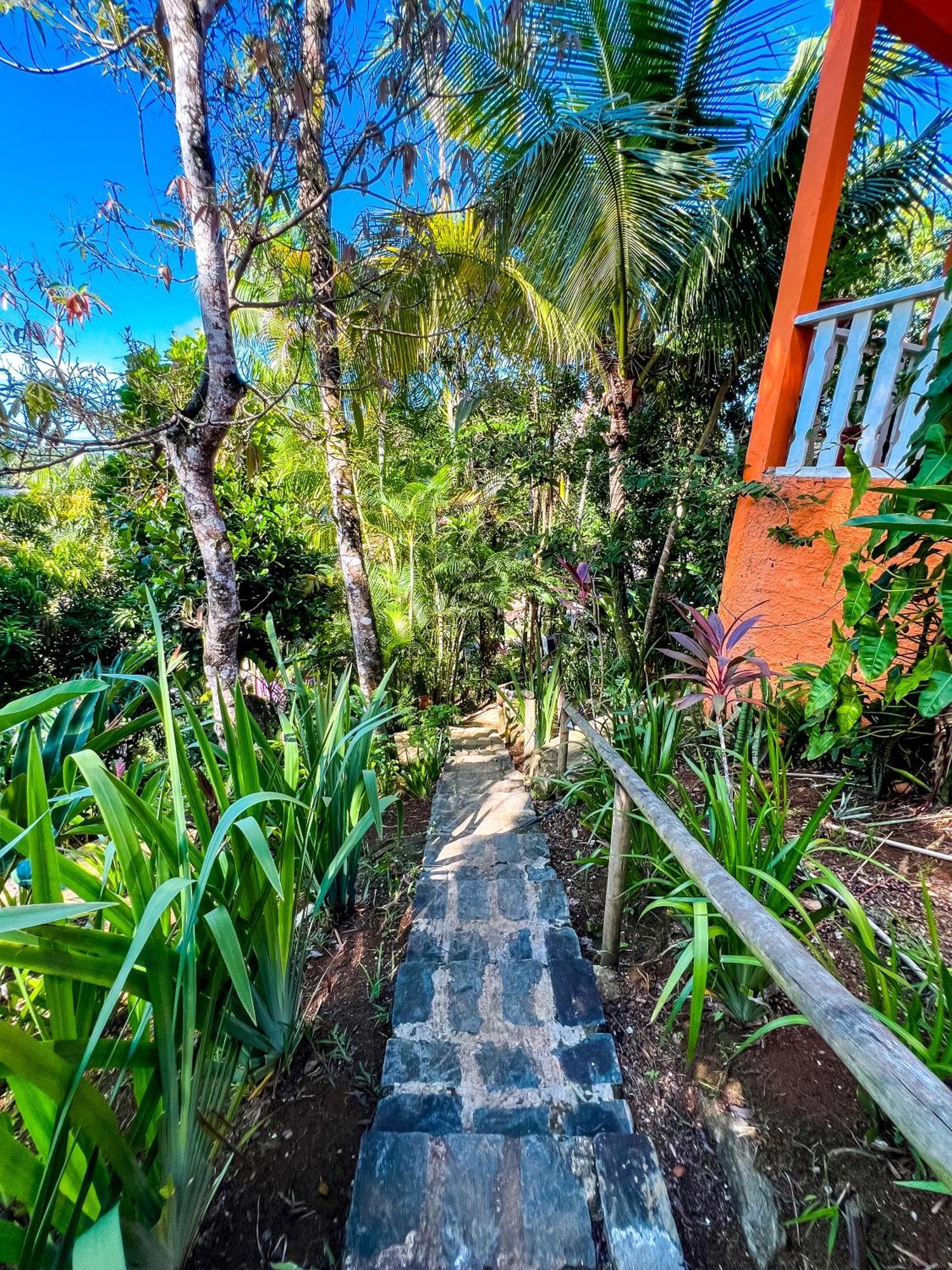 Hostel Zen - Casa Na Floresta Ітакаре Екстер'єр фото