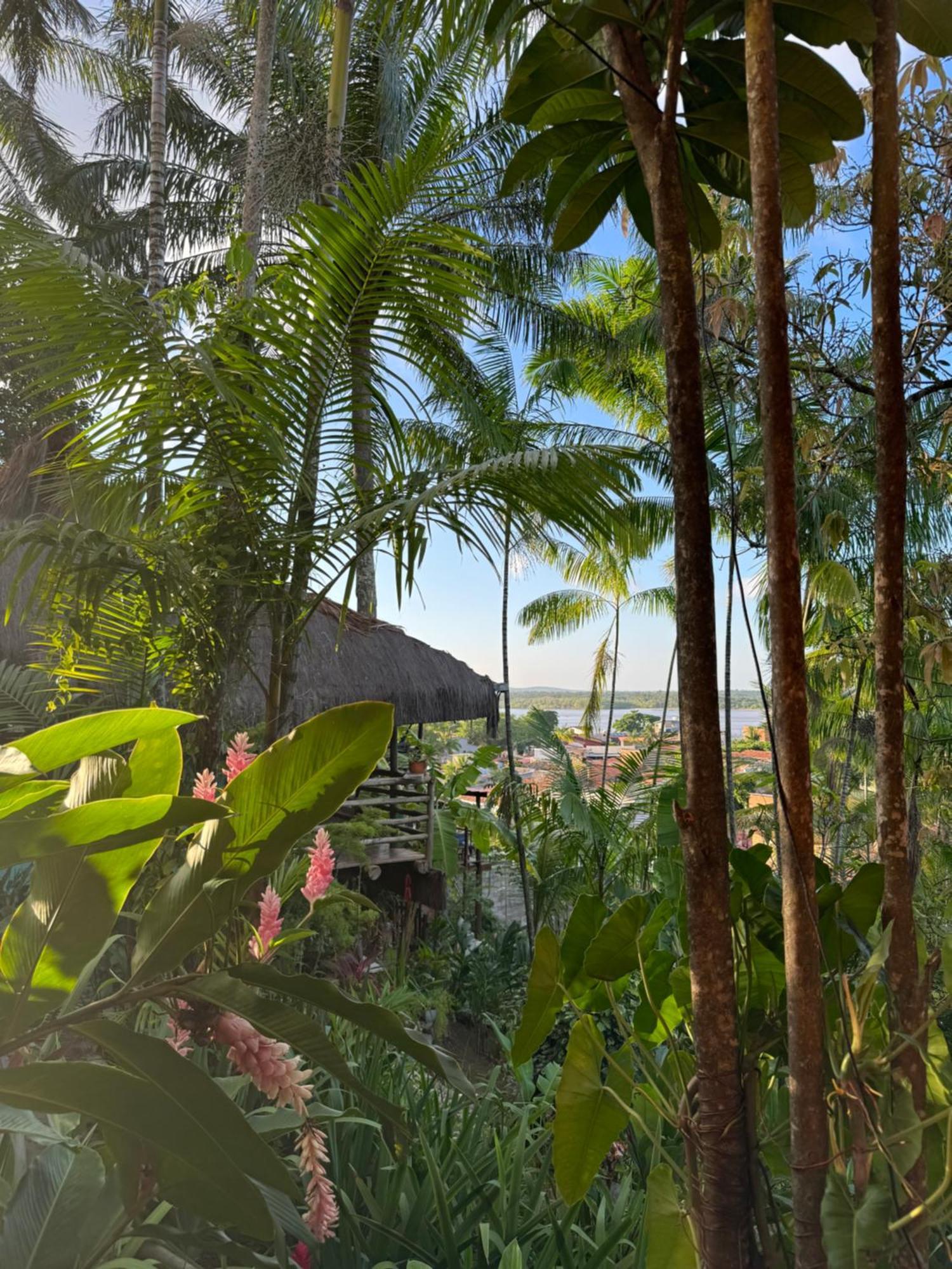 Hostel Zen - Casa Na Floresta Ітакаре Екстер'єр фото